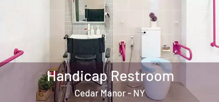 Handicap Restroom Cedar Manor - NY