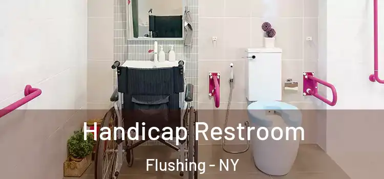 Handicap Restroom Flushing - NY