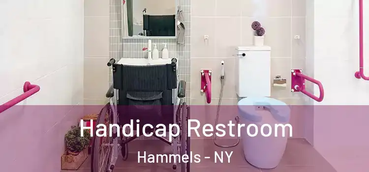 Handicap Restroom Hammels - NY