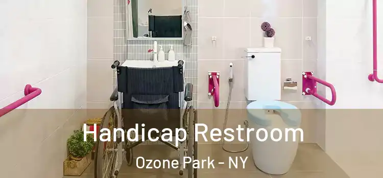  Handicap Restroom Ozone Park - NY