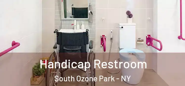  Handicap Restroom South Ozone Park - NY