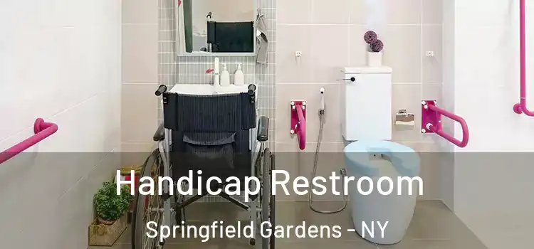 Handicap Restroom Springfield Gardens - NY