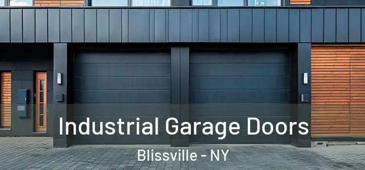  Industrial Garage Doors Blissville - NY