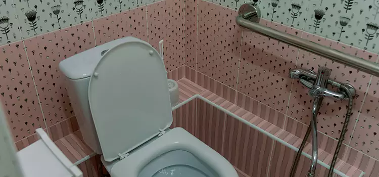 Meeting Diverse Needs With Accessible Restroom Solutions in Silverpointe Estates, NY