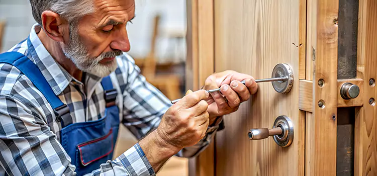 Mortise Replacement Lock Arverne