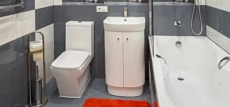 Hansgrohe Shaving Mirror Queens