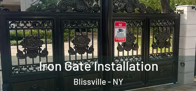 Iron Gate Installation Blissville - NY
