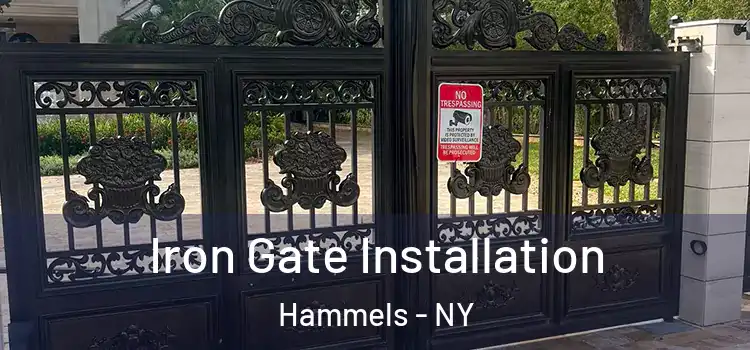 Iron Gate Installation Hammels - NY