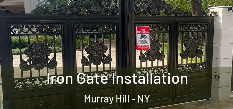 Iron Gate Installation Murray Hill - NY