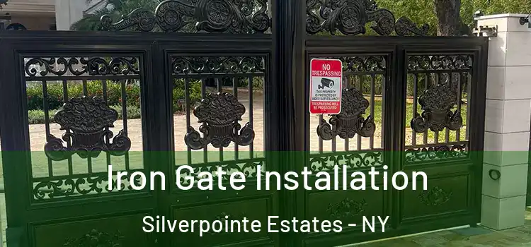 Iron Gate Installation Silverpointe Estates - NY