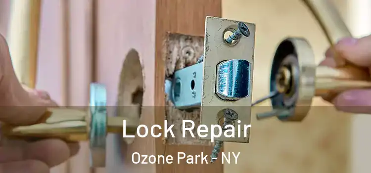  Lock Repair Ozone Park - NY