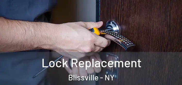 Lock Replacement Blissville - NY
