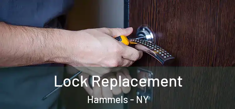 Lock Replacement Hammels - NY