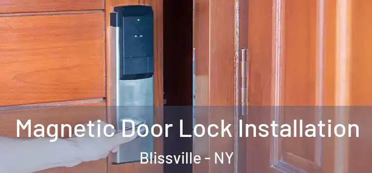  Magnetic Door Lock Installation Blissville - NY