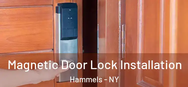  Magnetic Door Lock Installation Hammels - NY