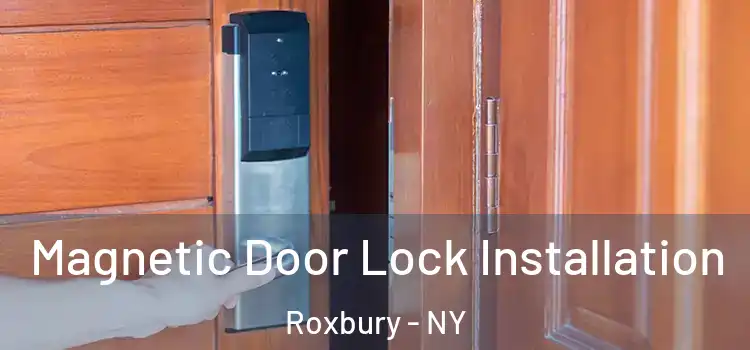  Magnetic Door Lock Installation Roxbury - NY