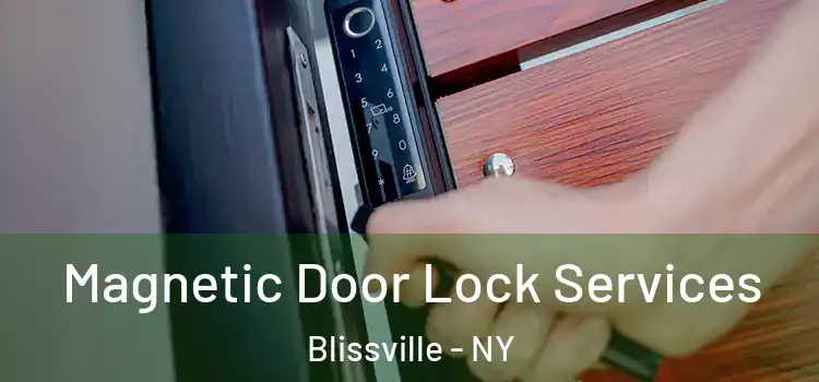 Magnetic Door Lock Services Blissville - NY