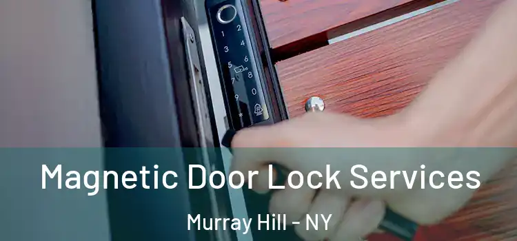  Magnetic Door Lock Services Murray Hill - NY