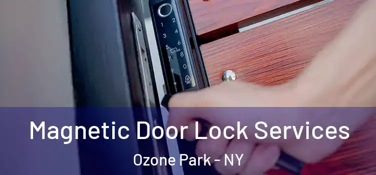  Magnetic Door Lock Services Ozone Park - NY
