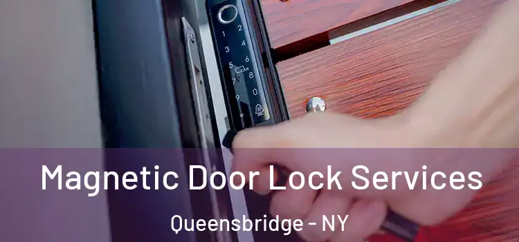 Magnetic Door Lock Services Queensbridge - NY
