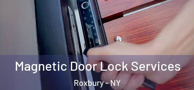 Magnetic Door Lock Services Roxbury - NY