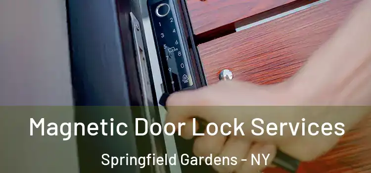 Magnetic Door Lock Services Springfield Gardens - NY