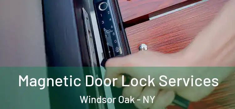 Magnetic Door Lock Services Windsor Oak - NY