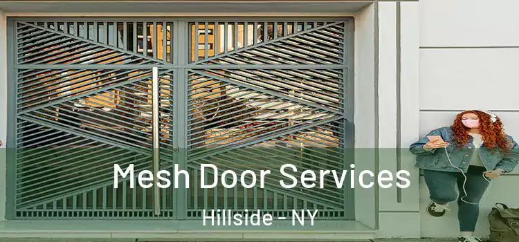 Mesh Door Services Hillside - NY