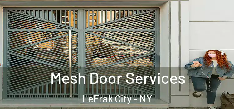  Mesh Door Services LeFrak City - NY