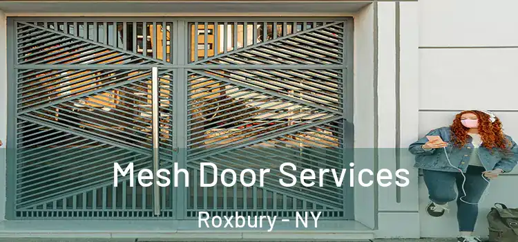 Mesh Door Services Roxbury - NY