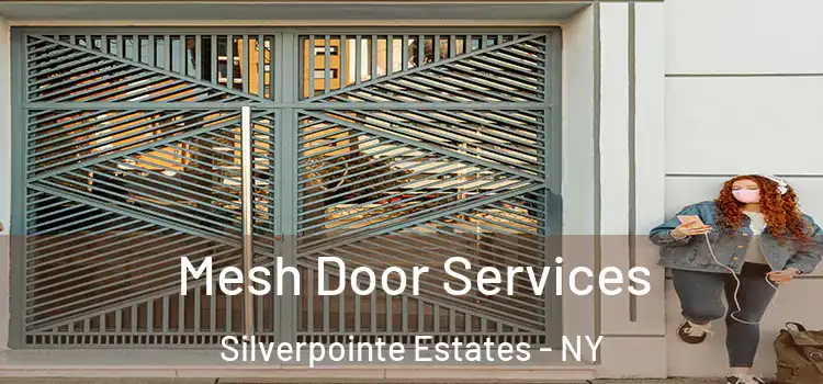 Mesh Door Services Silverpointe Estates - NY