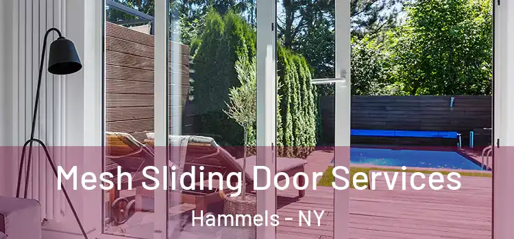  Mesh Sliding Door Services Hammels - NY