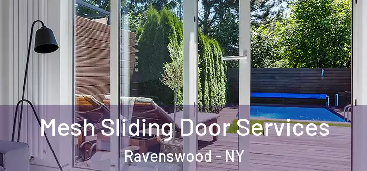 Mesh Sliding Door Services Ravenswood - NY
