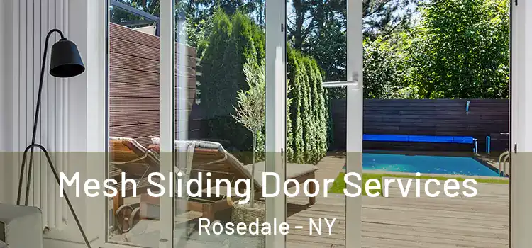 Mesh Sliding Door Services Rosedale - NY