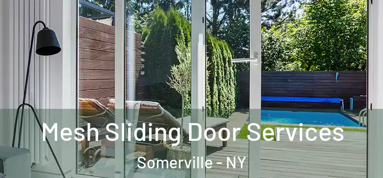 Mesh Sliding Door Services Somerville - NY