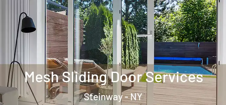  Mesh Sliding Door Services Steinway - NY