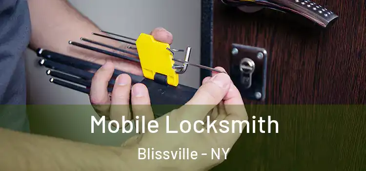 Mobile Locksmith Blissville - NY