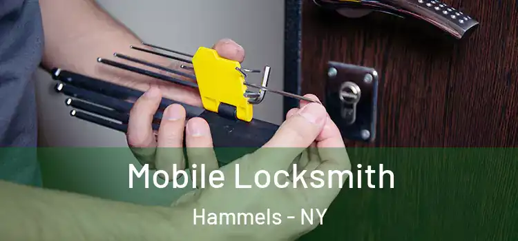 Mobile Locksmith Hammels - NY