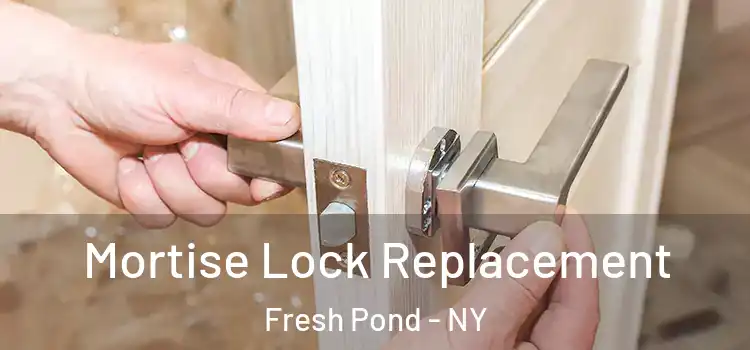  Mortise Lock Replacement Fresh Pond - NY