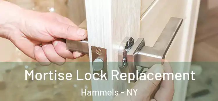 Mortise Lock Replacement Hammels - NY