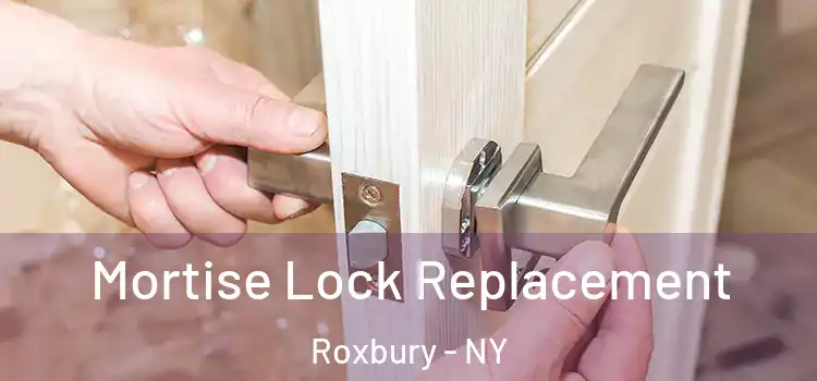 Mortise Lock Replacement Roxbury - NY