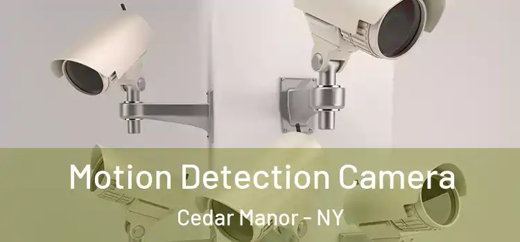 Motion Detection Camera Cedar Manor - NY