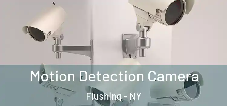  Motion Detection Camera Flushing - NY