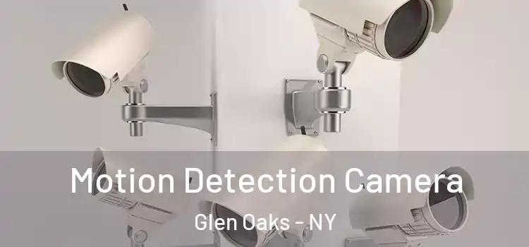  Motion Detection Camera Glen Oaks - NY