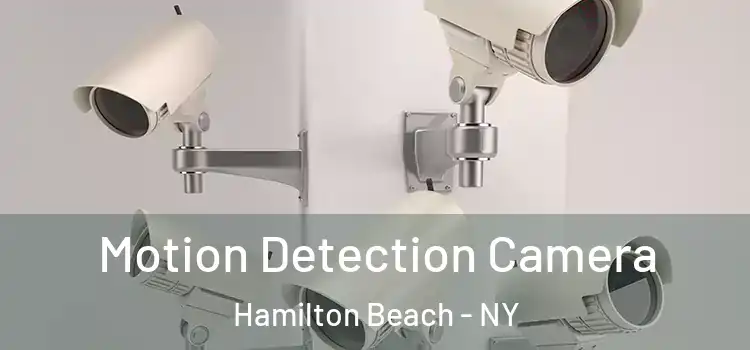  Motion Detection Camera Hamilton Beach - NY