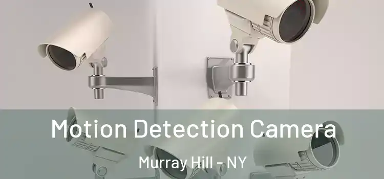  Motion Detection Camera Murray Hill - NY