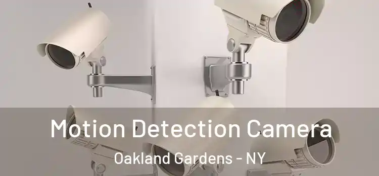  Motion Detection Camera Oakland Gardens - NY