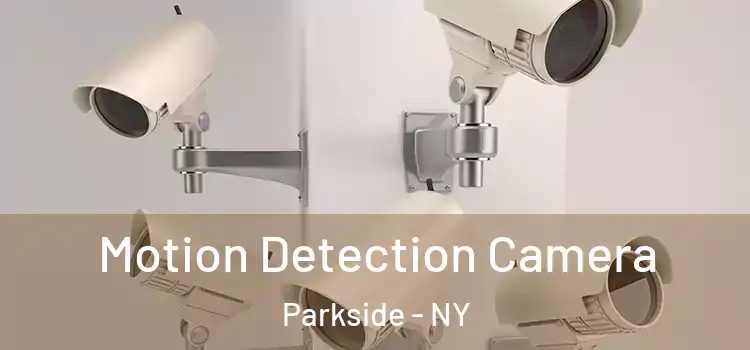  Motion Detection Camera Parkside - NY