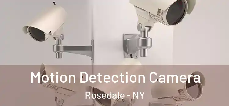  Motion Detection Camera Rosedale - NY