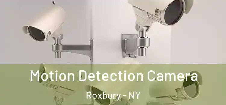  Motion Detection Camera Roxbury - NY